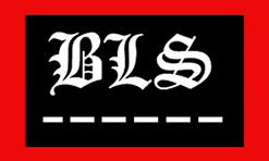 лого компании BLS Waga Janusz лого компании BLS Waga Janusz