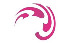 лого компании FSS Fracht лого компании FSS Fracht
